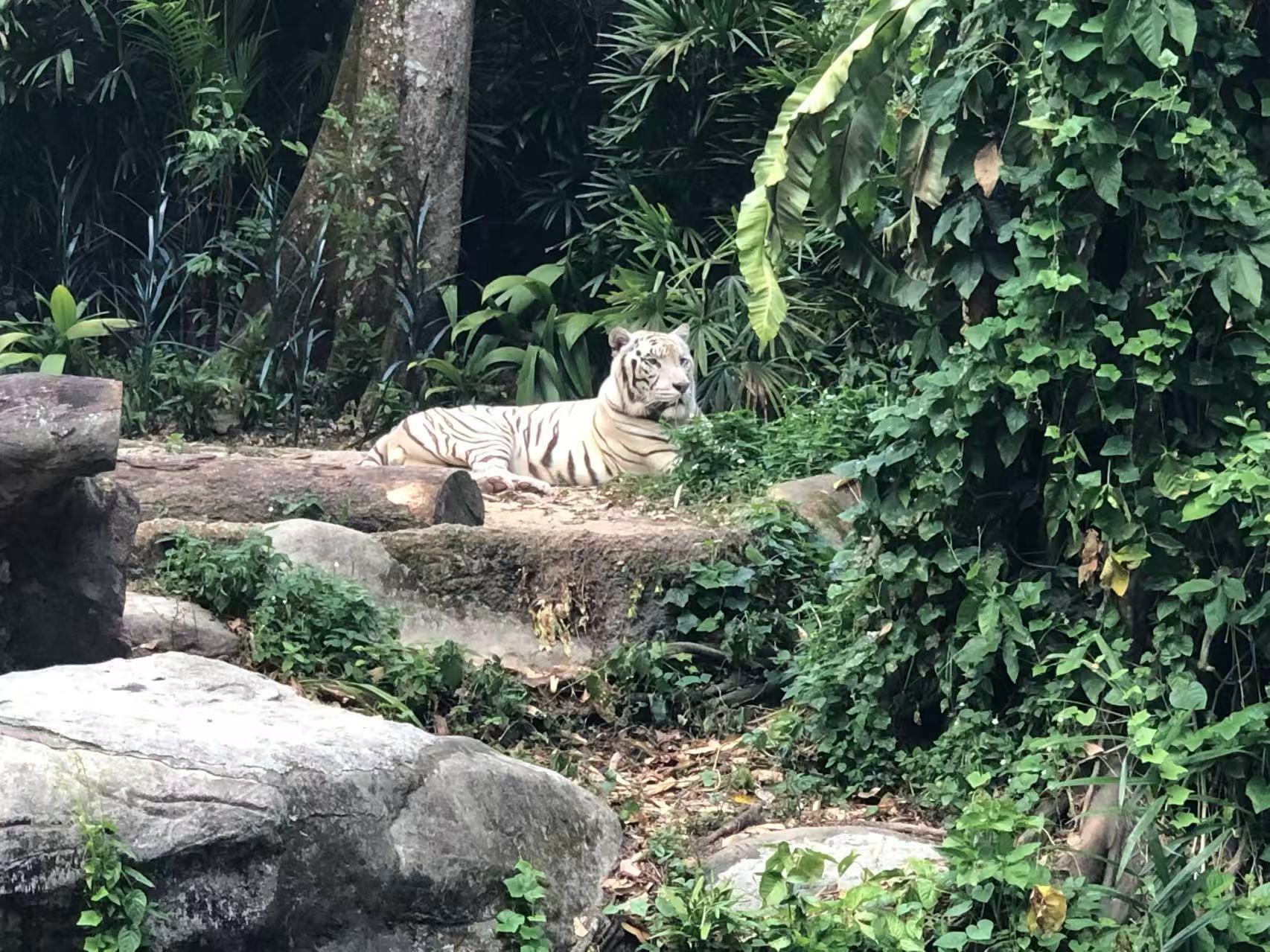 Bali and Singapore